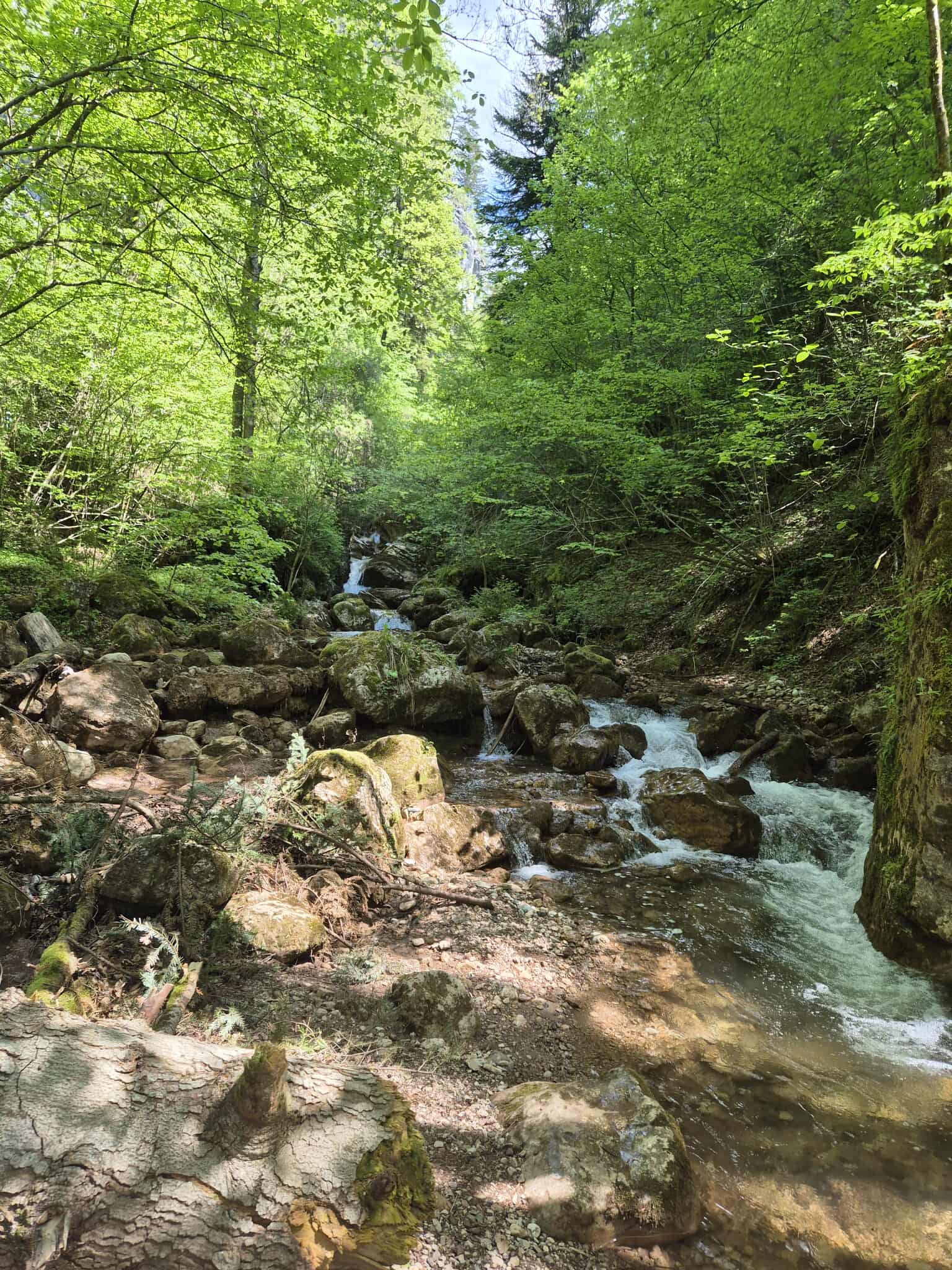 Description of the image